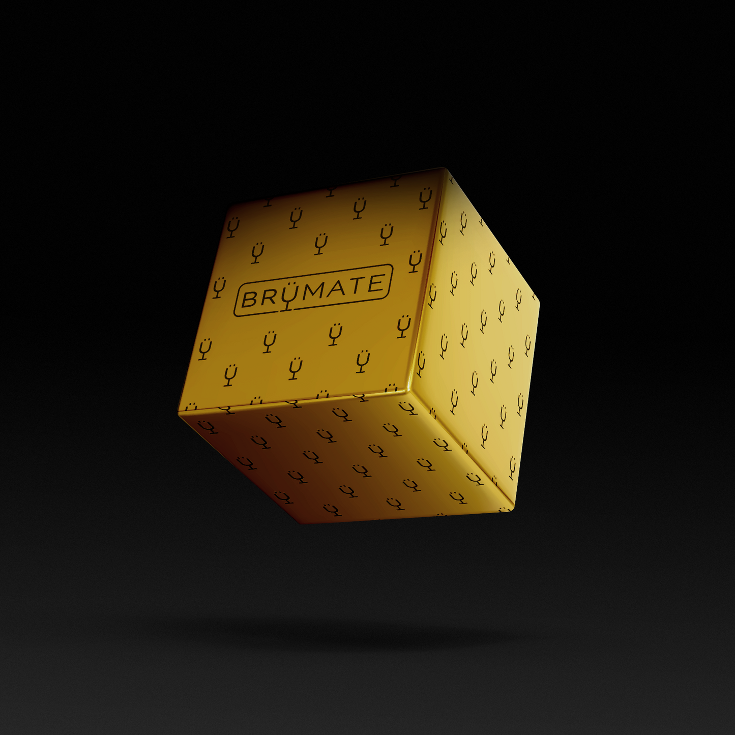 premium-mystery-item-39-70-value-n9 IMG-1548.png